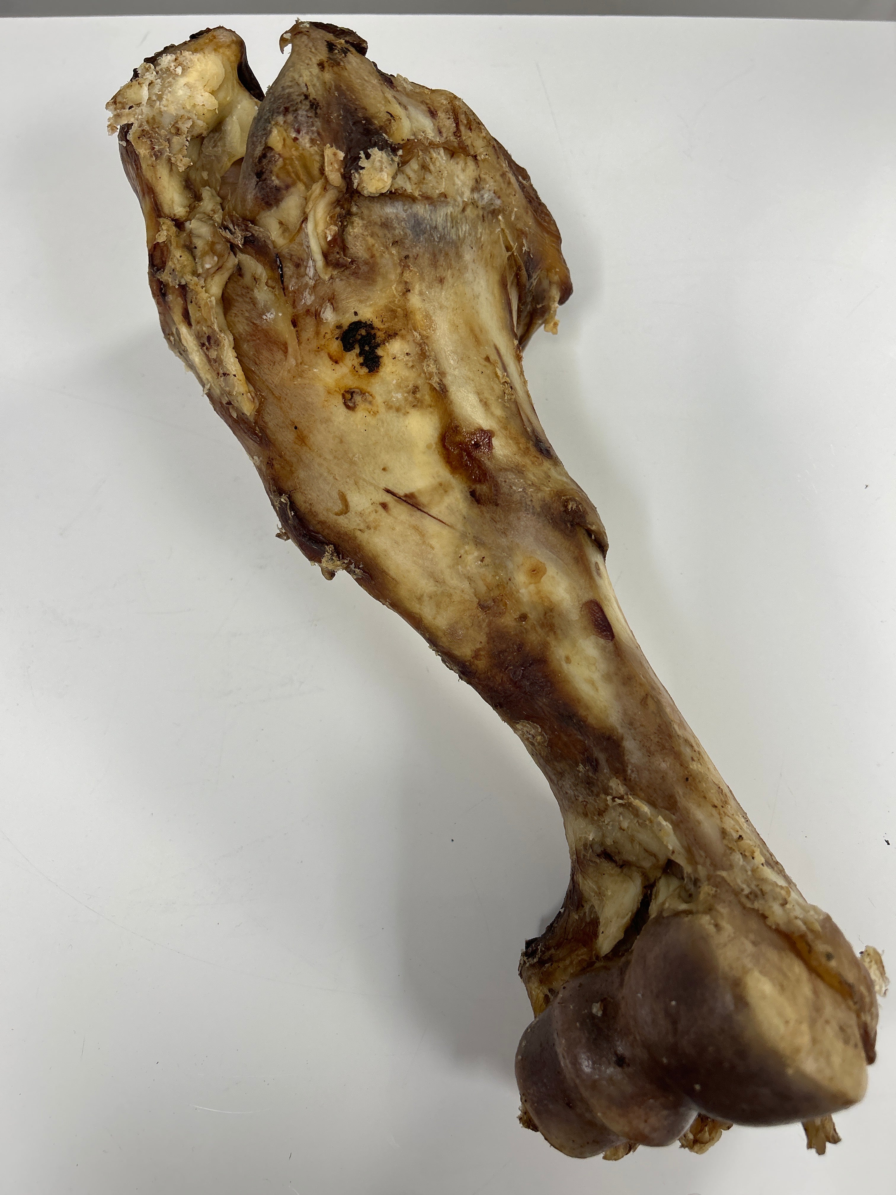 Beef - Jurassic Bone