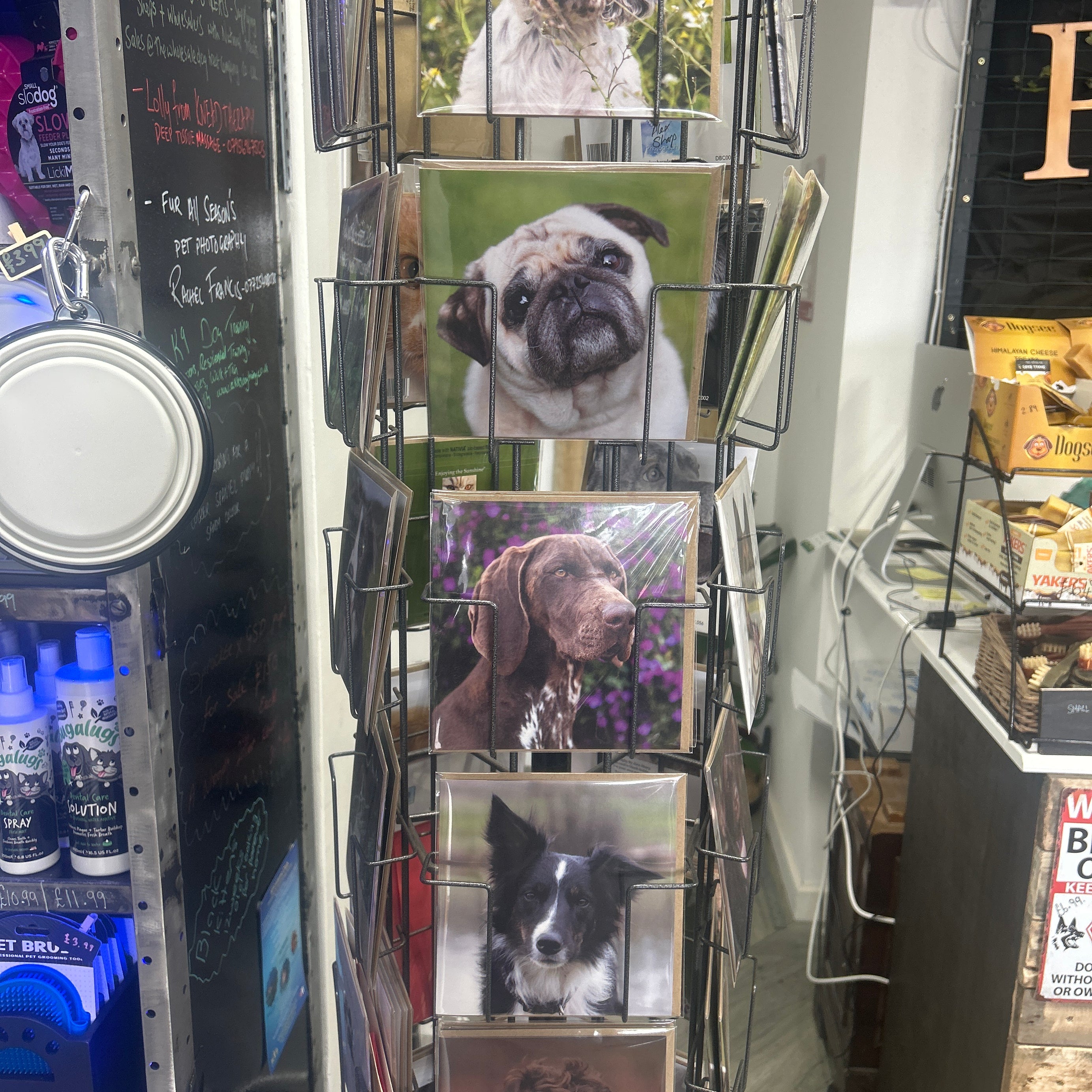 Alex Sharp photography CARDS