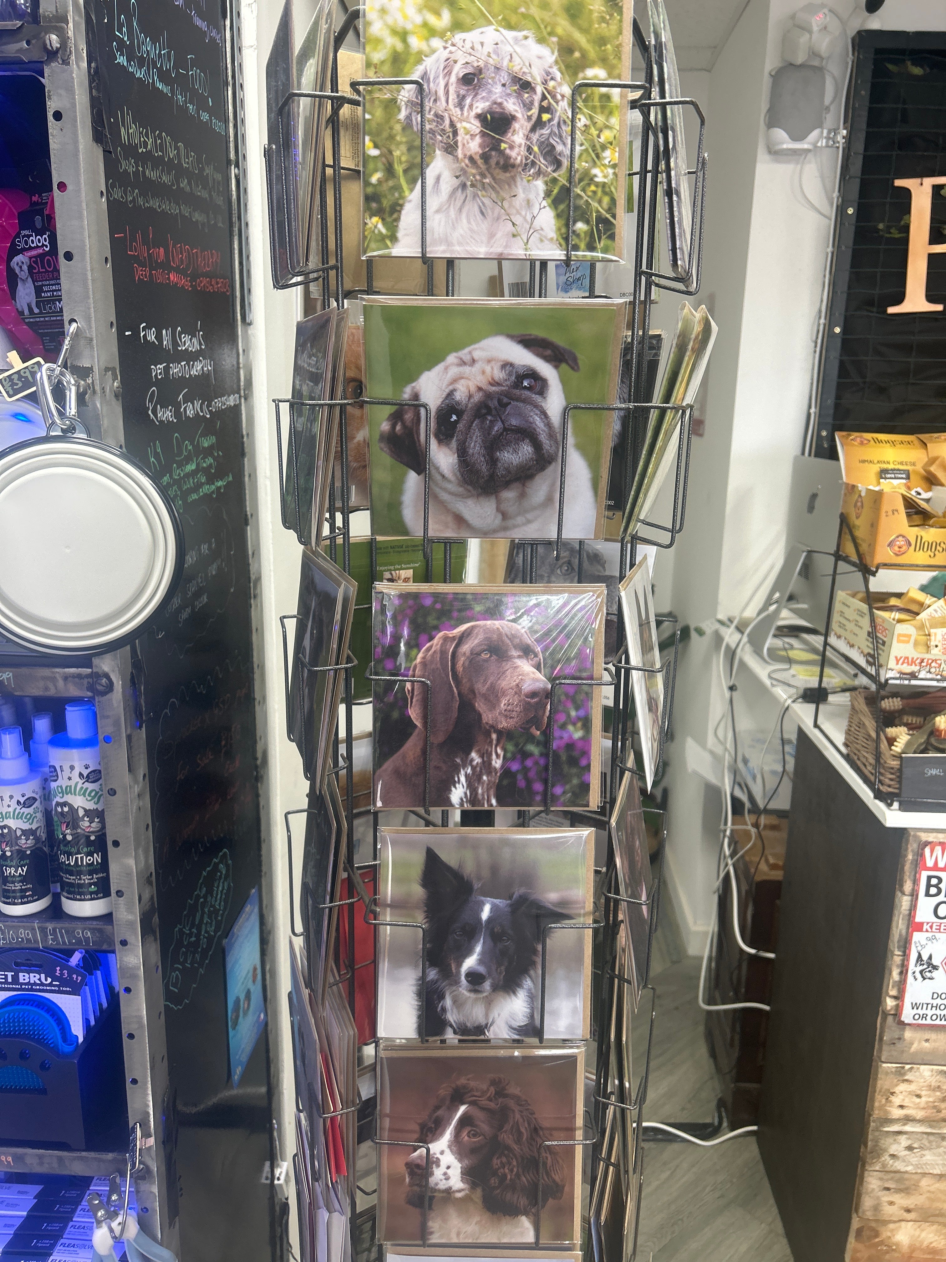 Alex Sharp photography CARDS