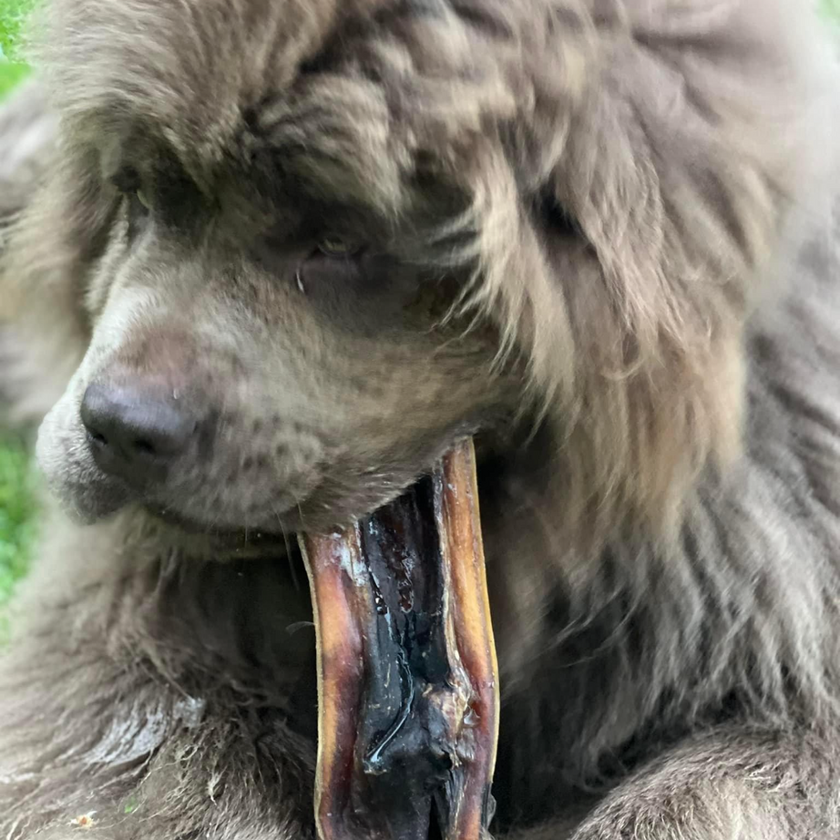 Beef - Headmeat - 1PCs