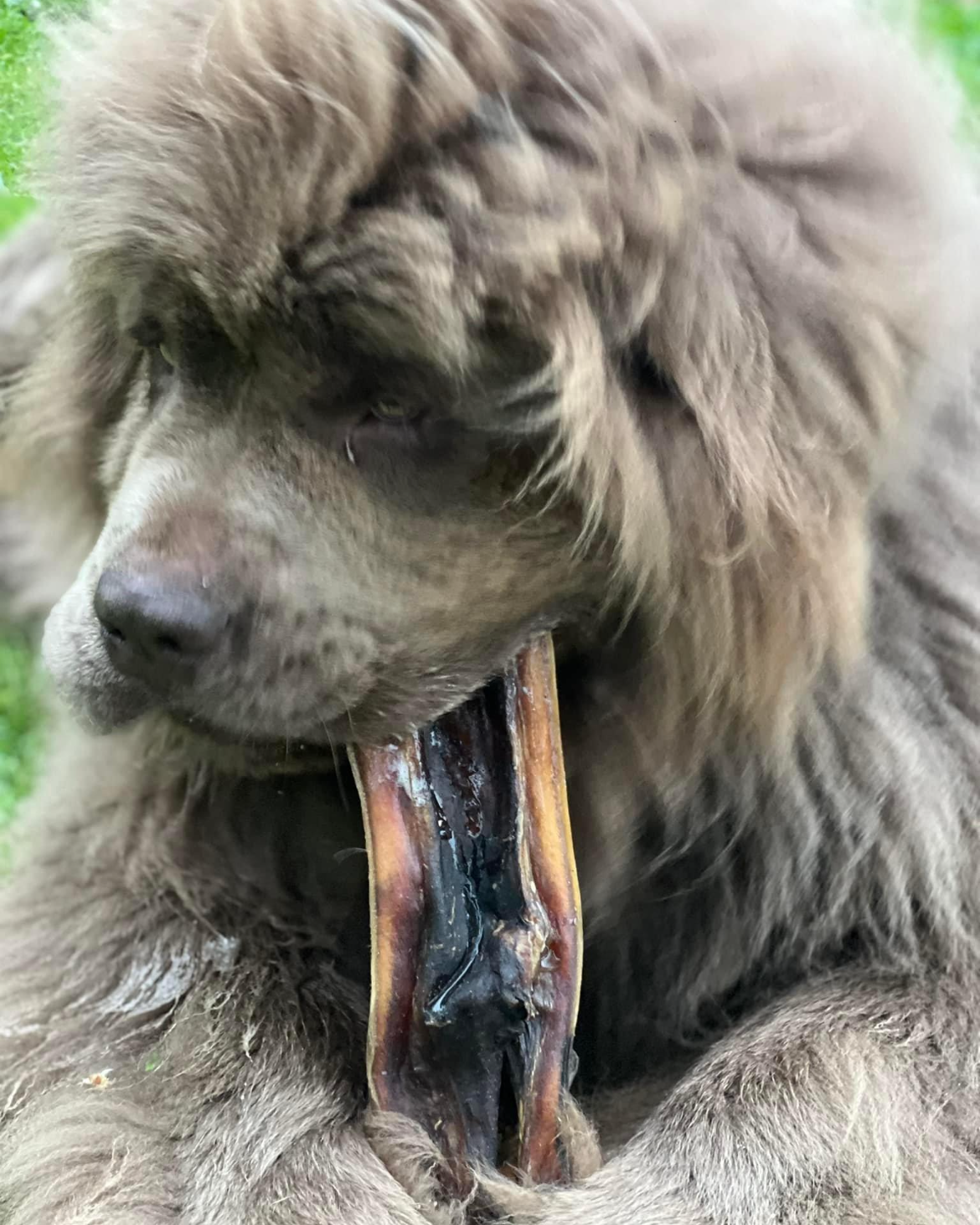 Beef - Headmeat - 1PCs