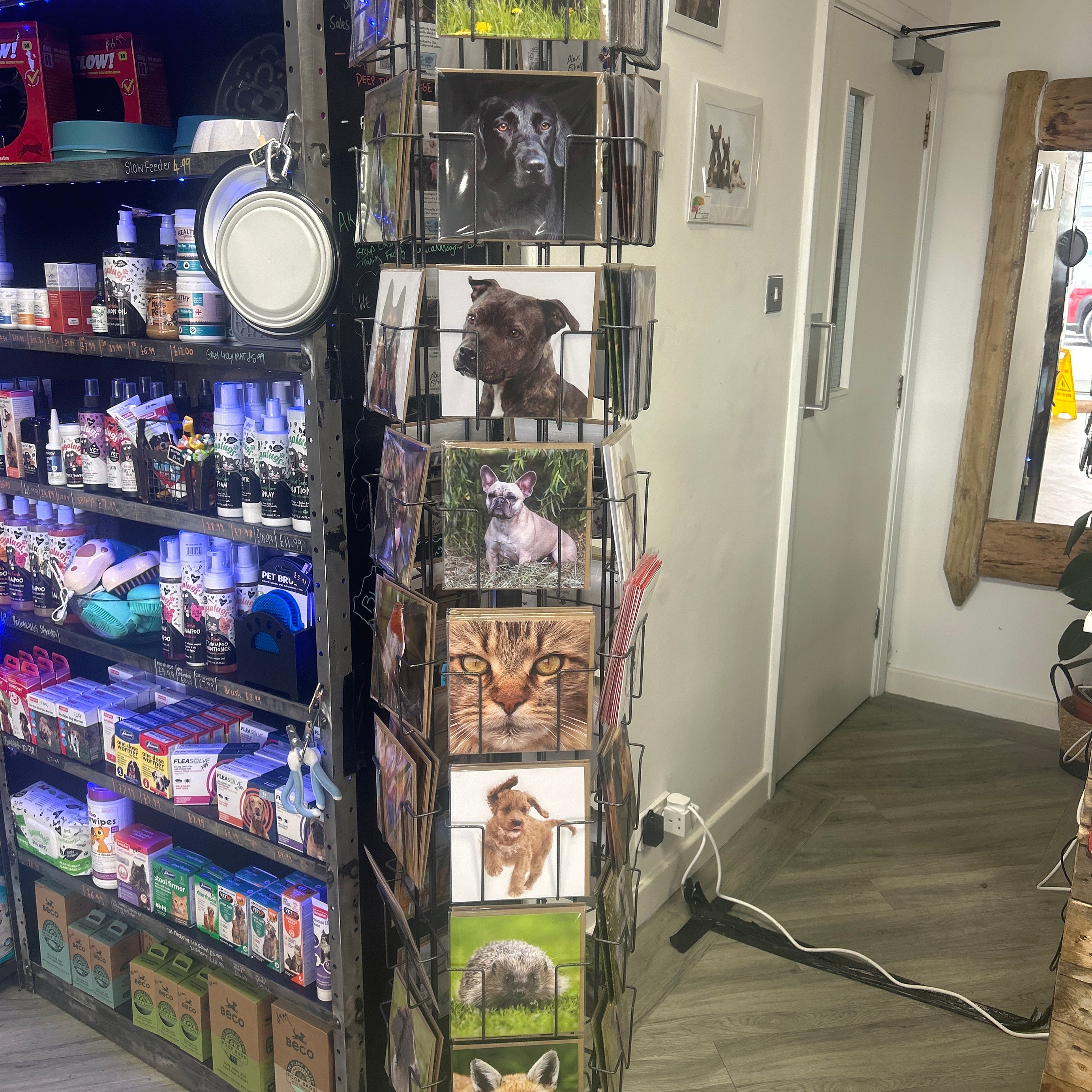 Alex Sharp photography CARDS