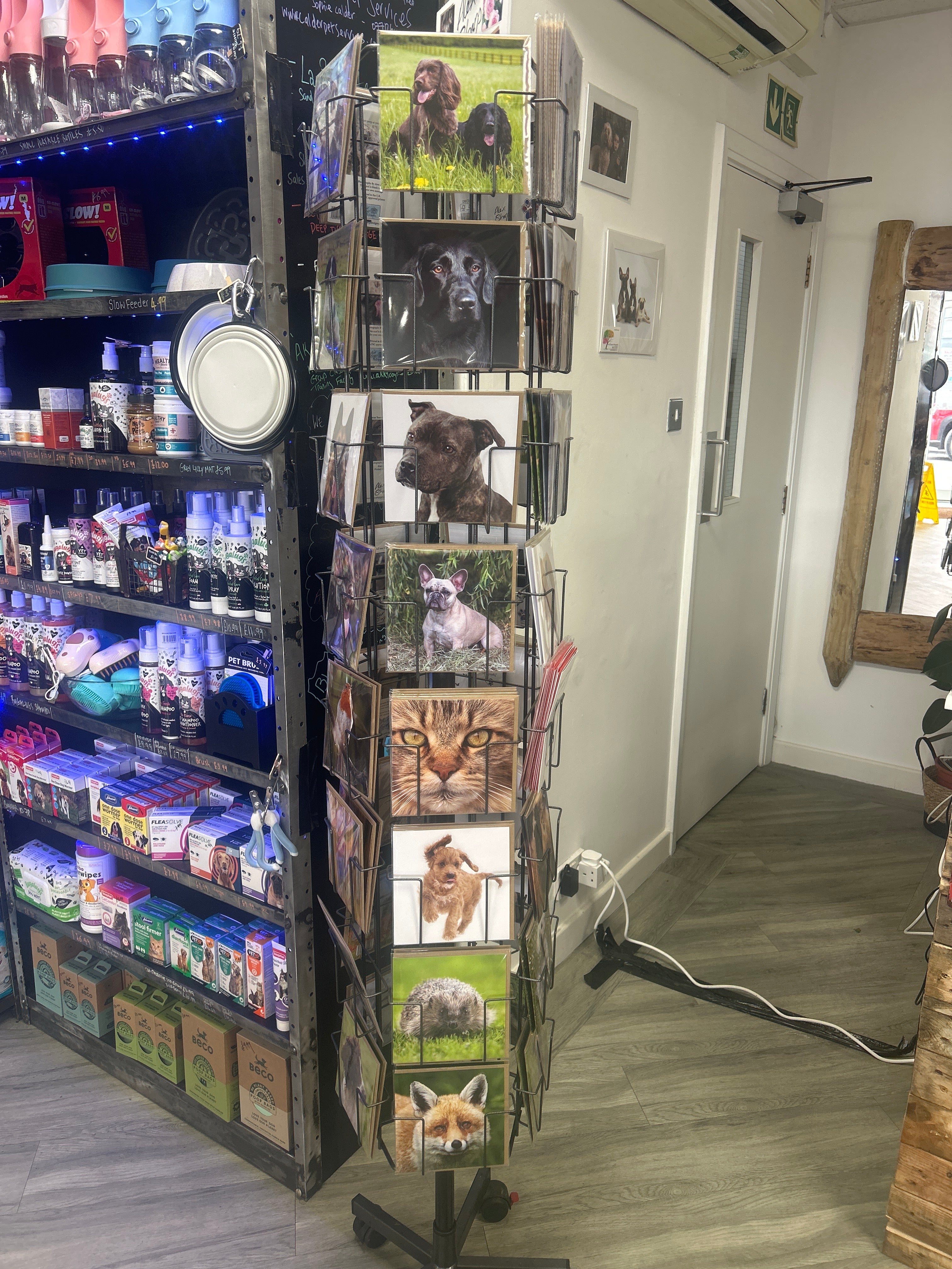 Alex Sharp photography CARDS