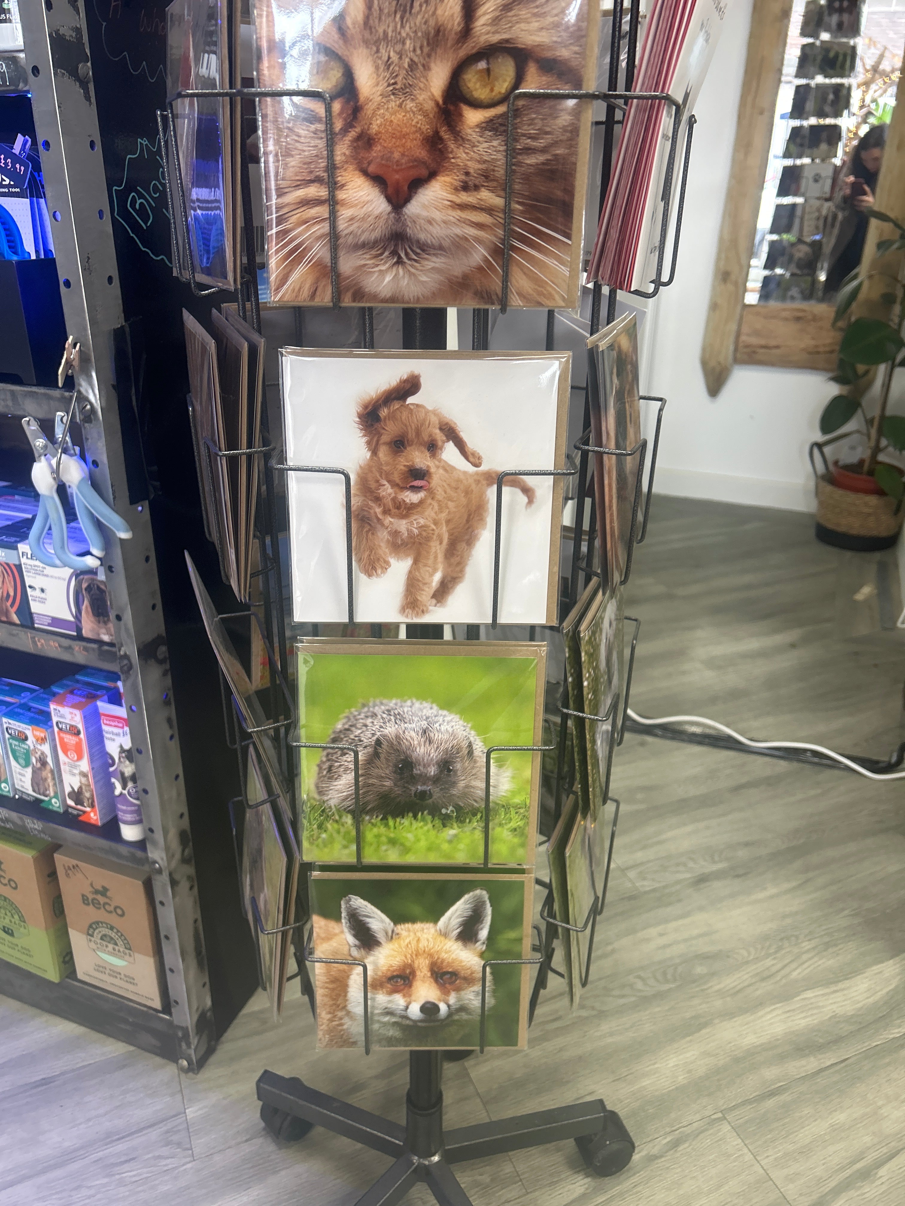 Alex Sharp photography CARDS