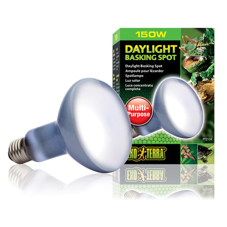 ExoTerra - Daylight bulb 150w