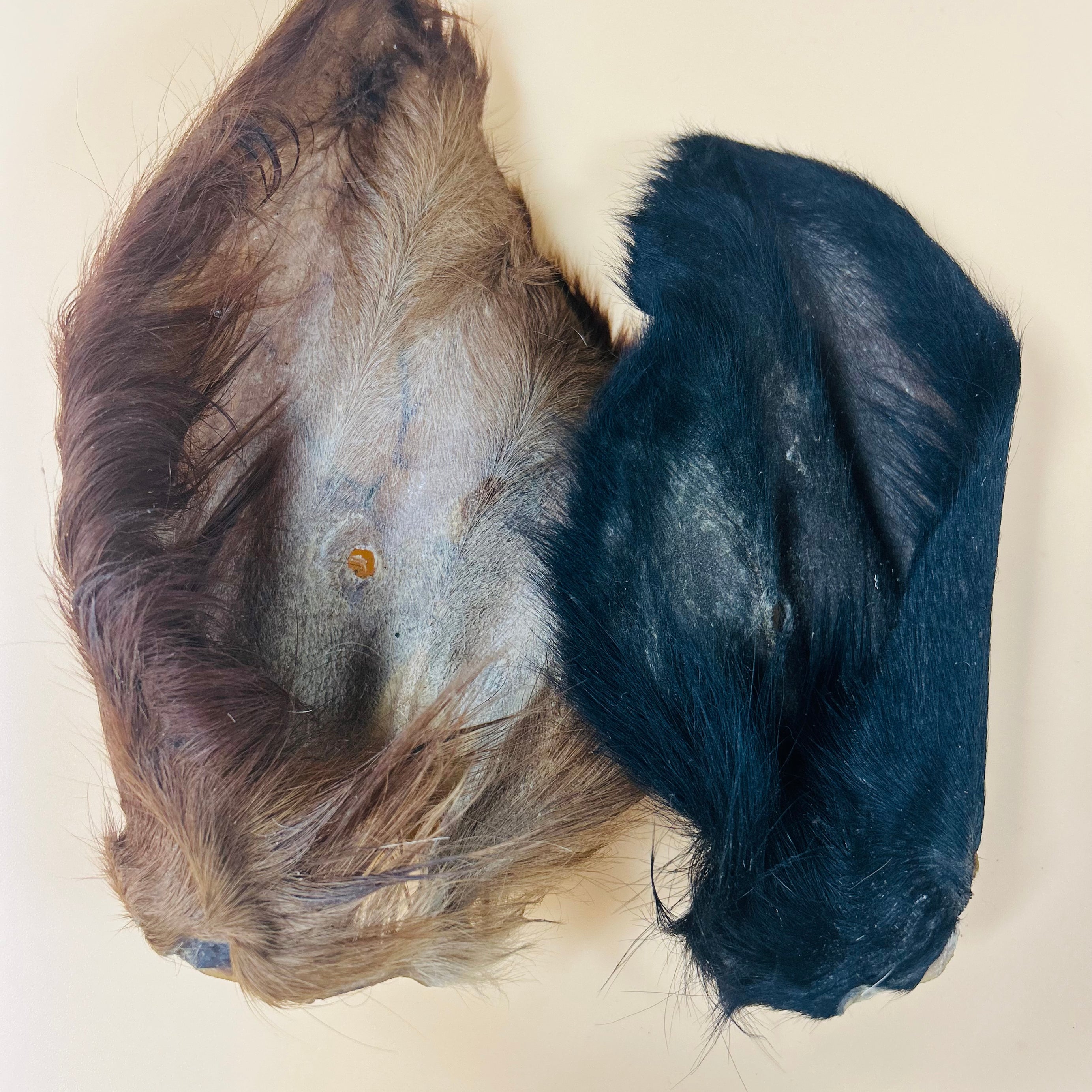 Beef - Ear Fur