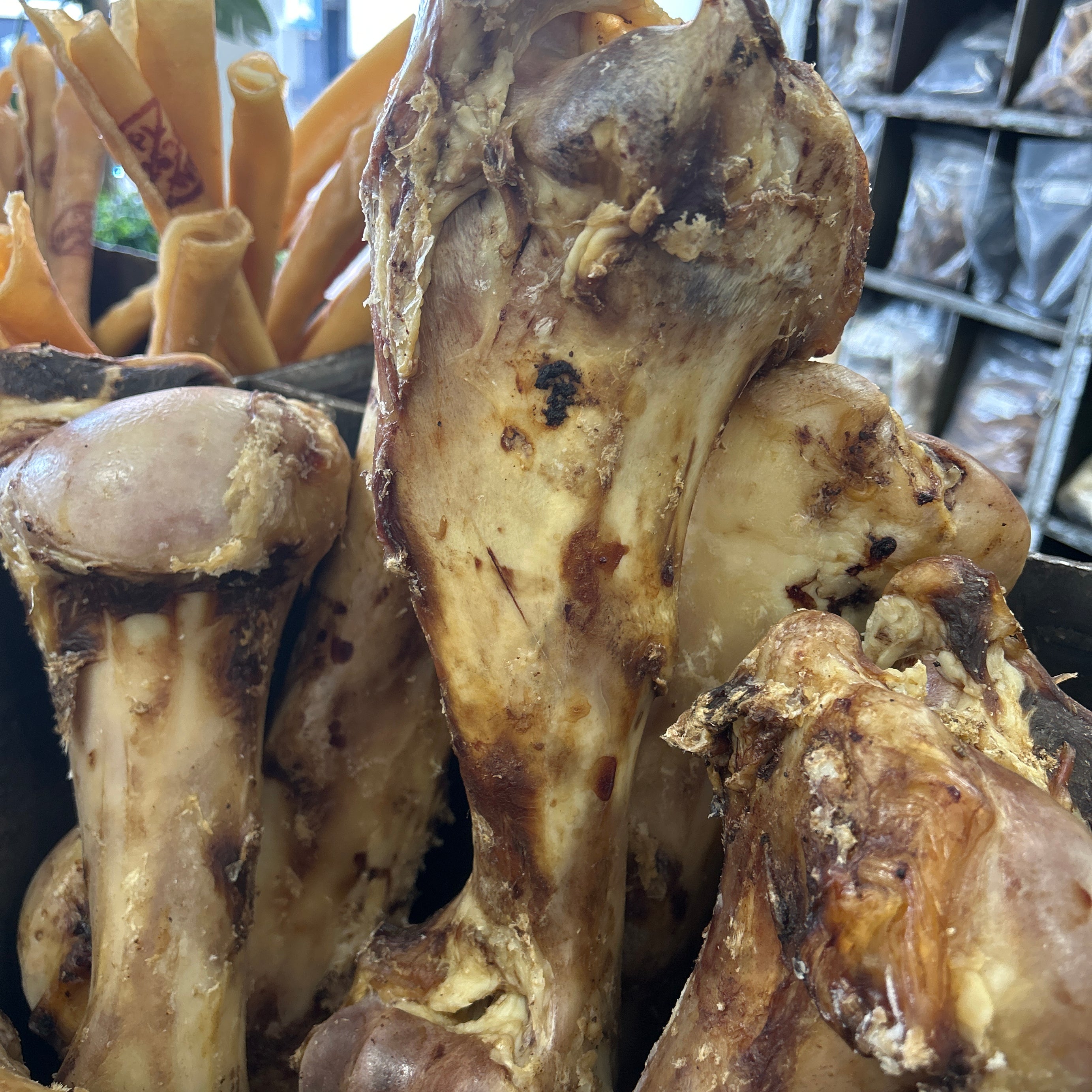 Beef - Jurassic Bone