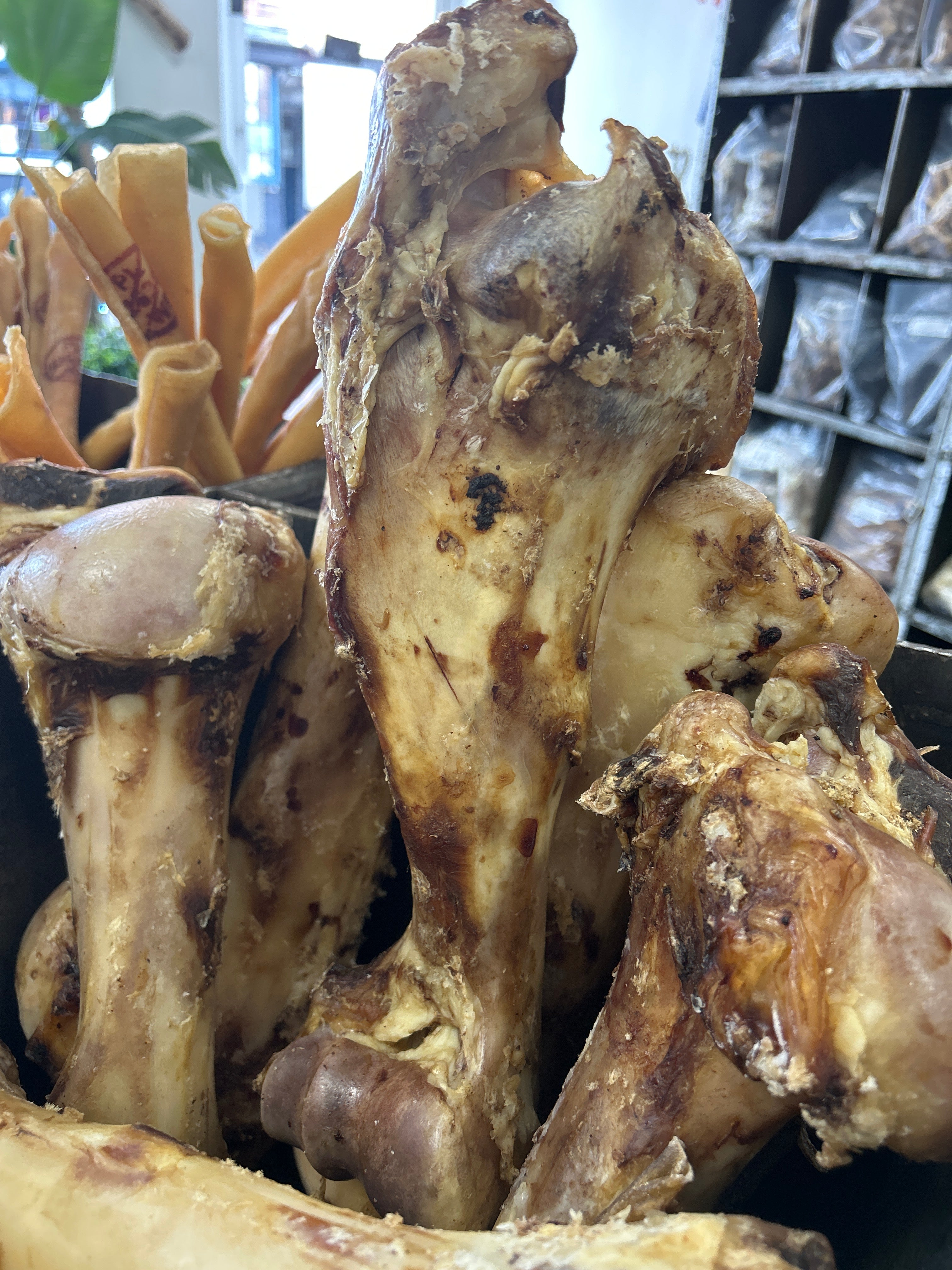 Beef - Jurassic Bone