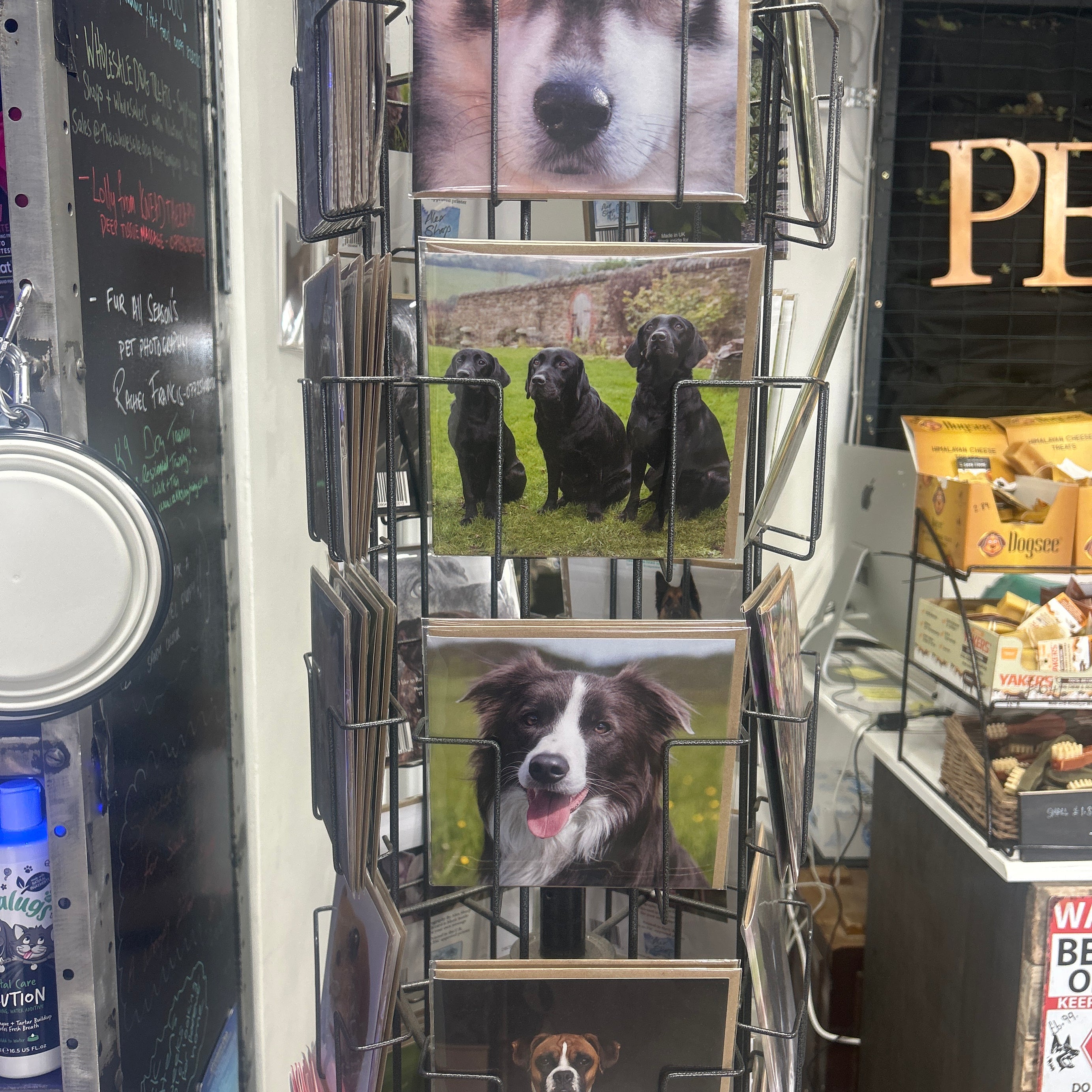 Alex Sharp photography CARDS