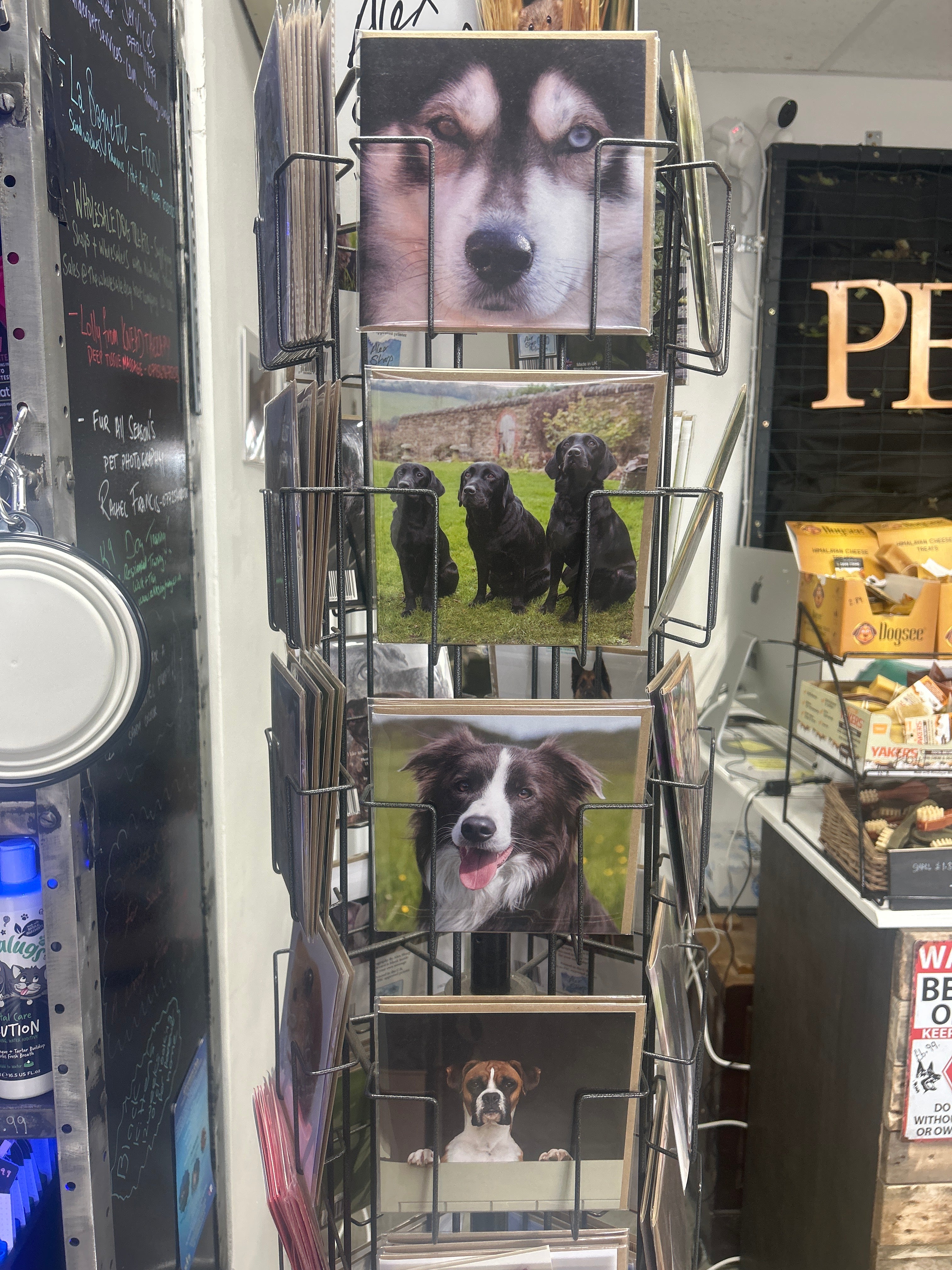 Alex Sharp photography CARDS