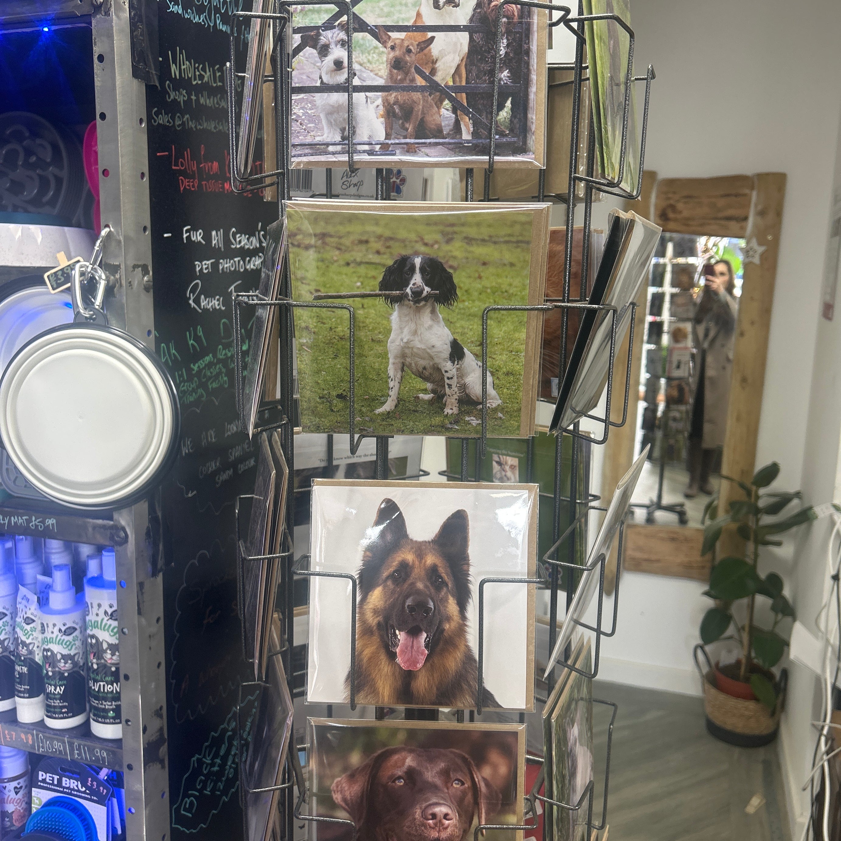 Alex Sharp photography CARDS