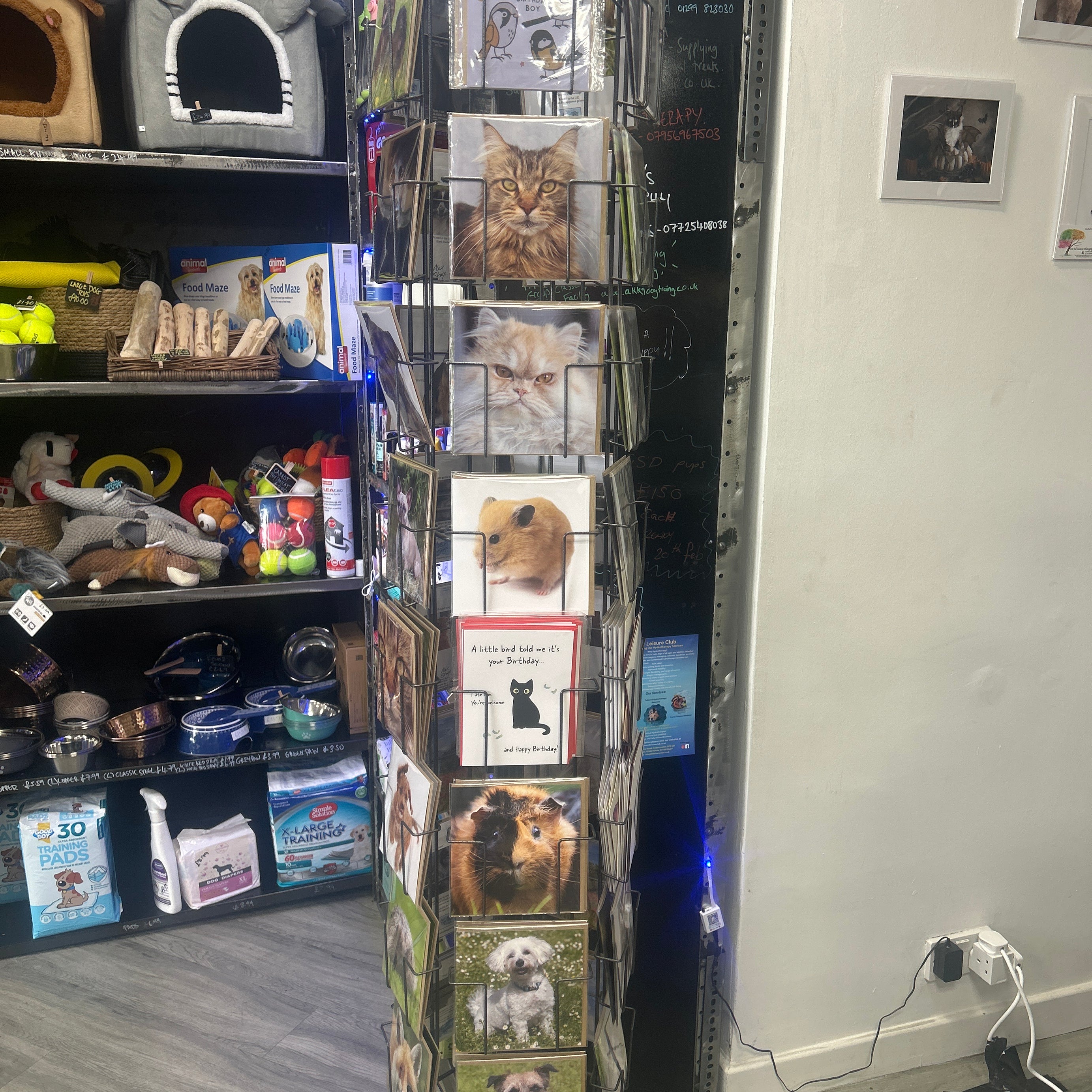 Alex Sharp photography CARDS