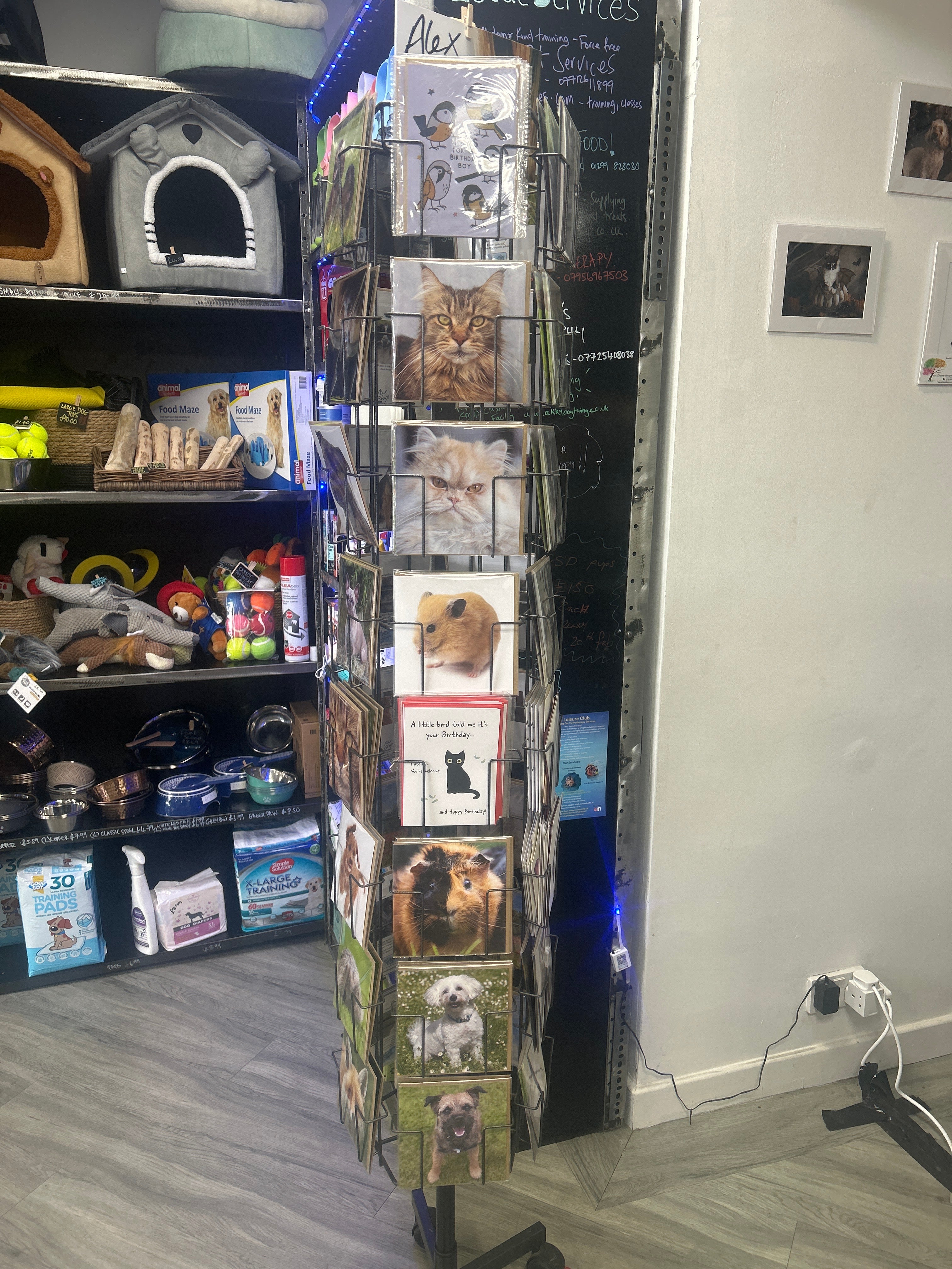 Alex Sharp photography CARDS