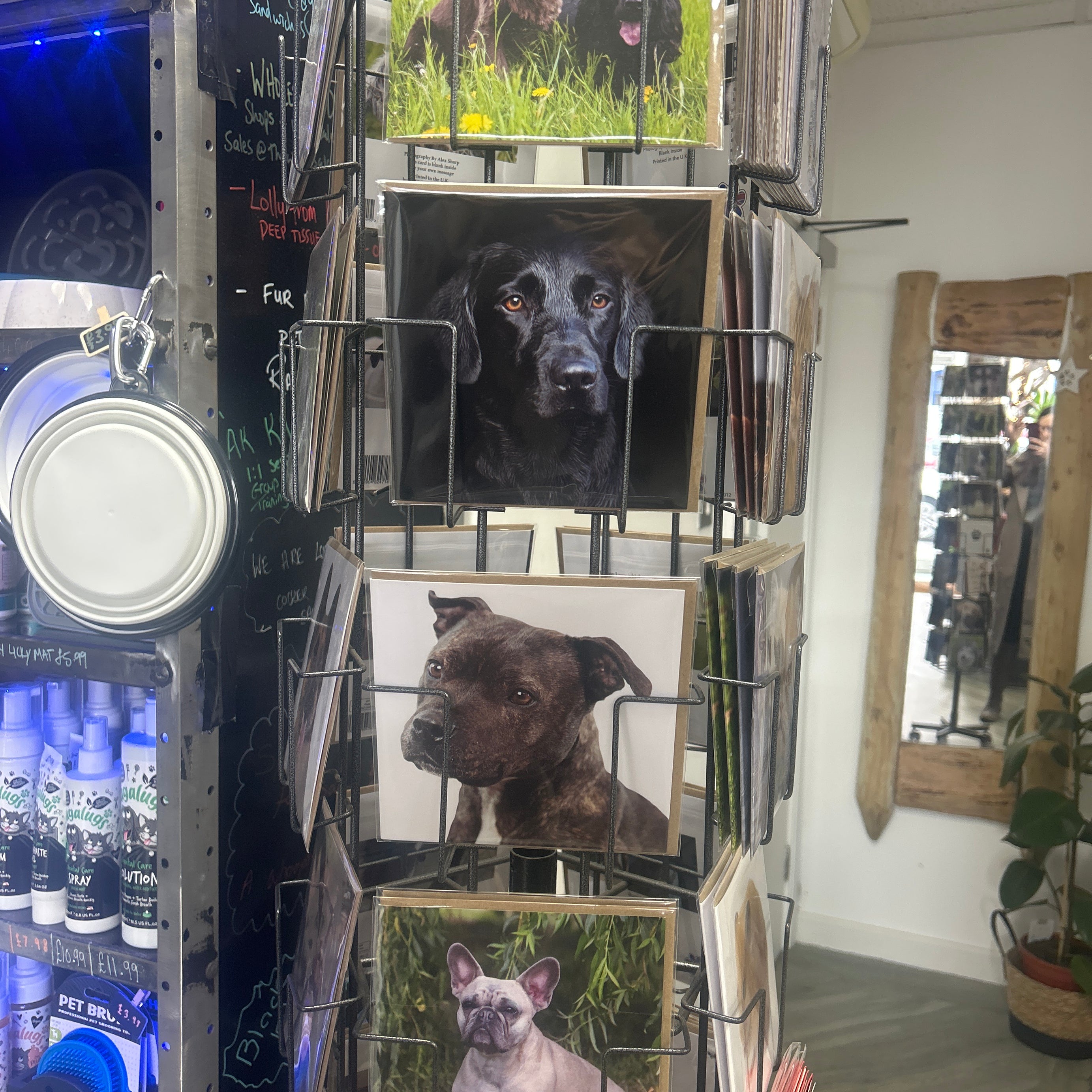 Alex Sharp photography CARDS