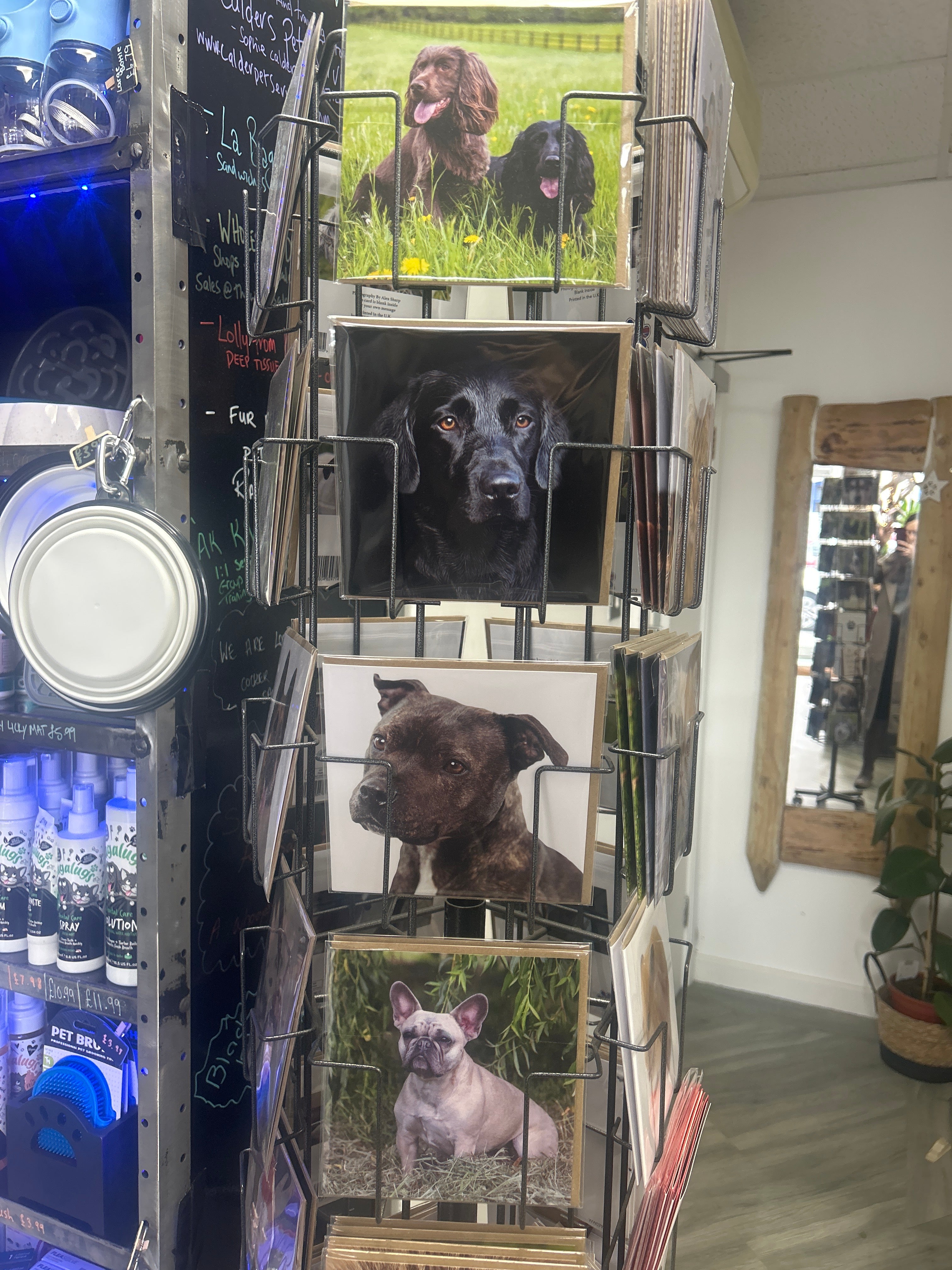 Alex Sharp photography CARDS