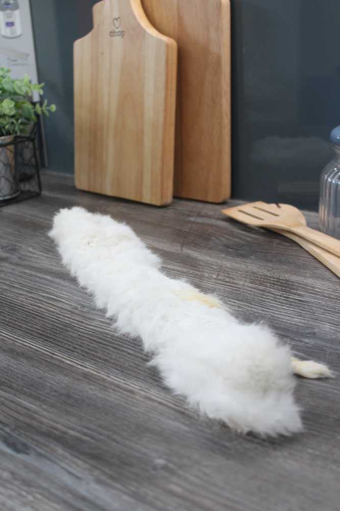 Rabbit Feet with Fur