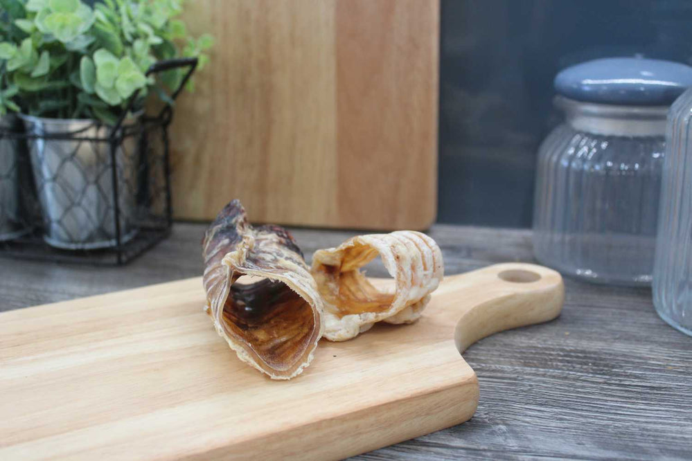 Beef - Trachea (european)