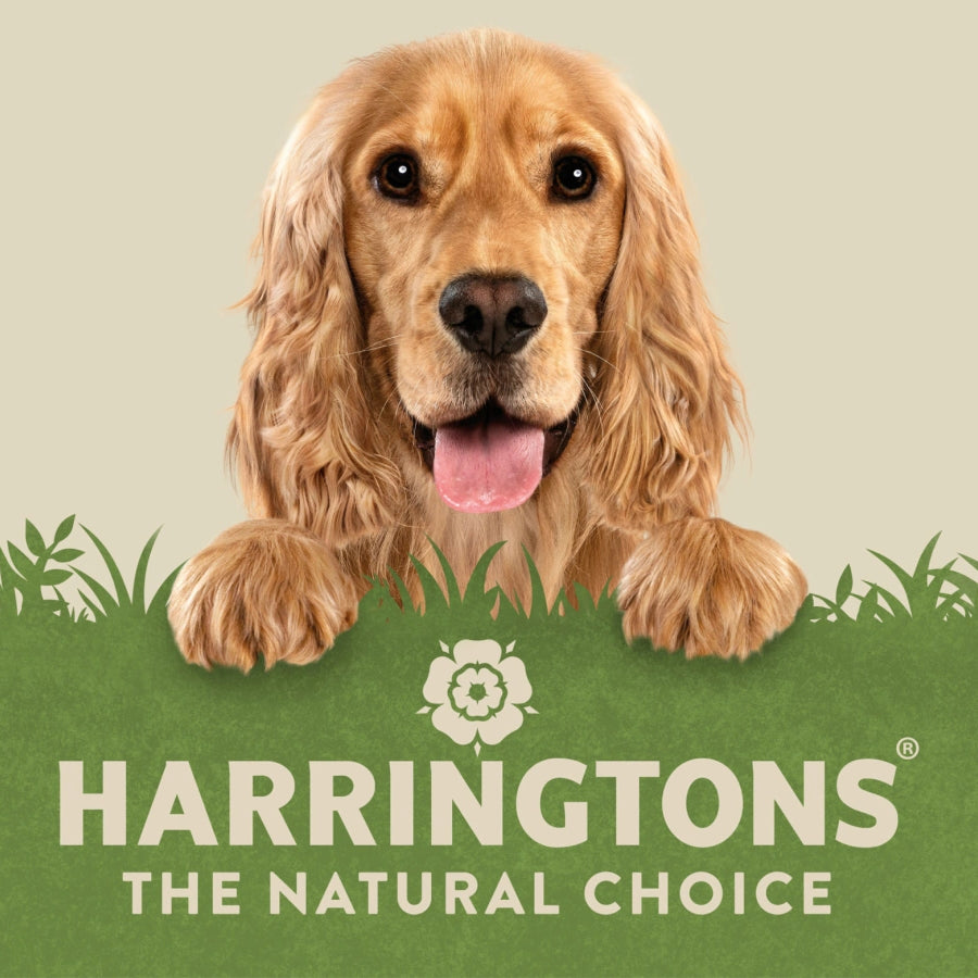 Harringtons - Senior Chicken 17KG