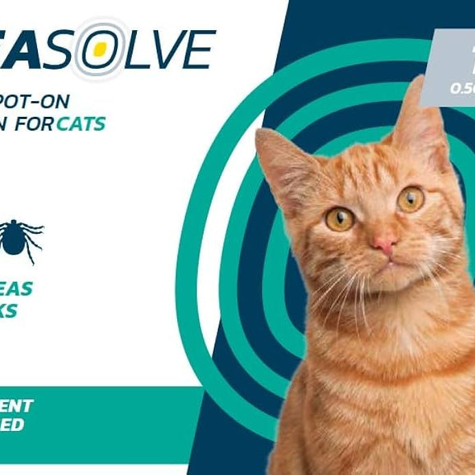 Fleasolve - Spoton Cat