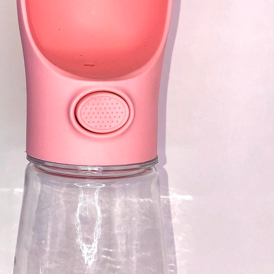 Portable water bottle - large