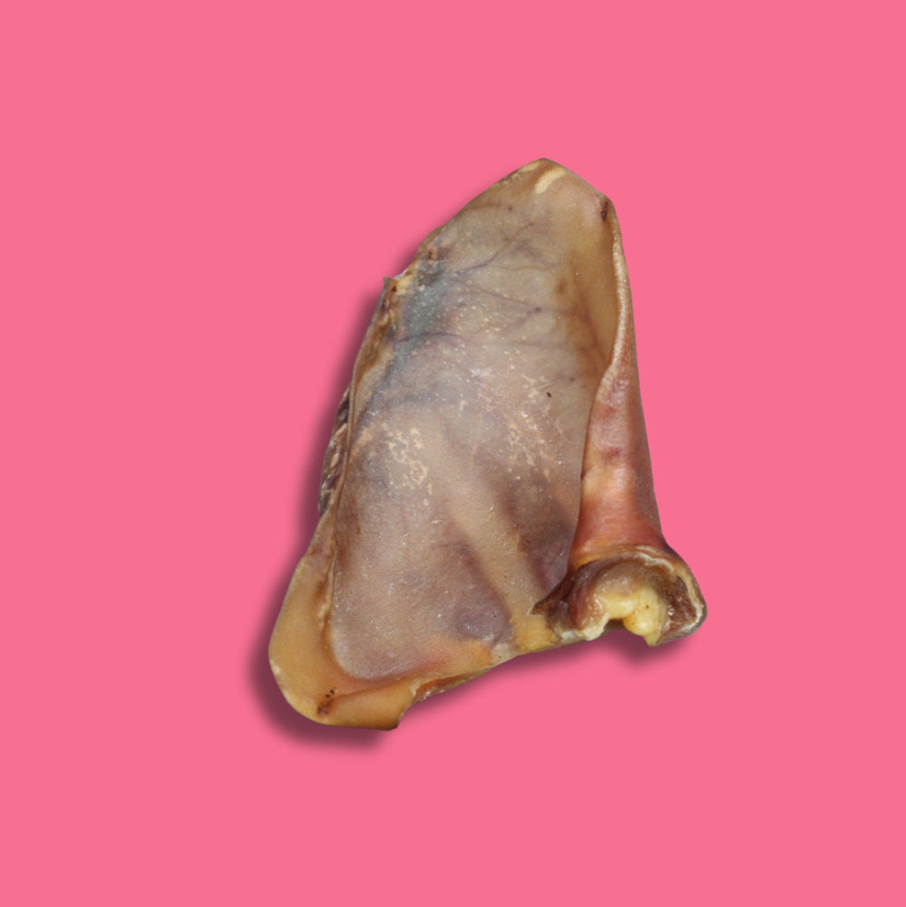 Pork - Ear