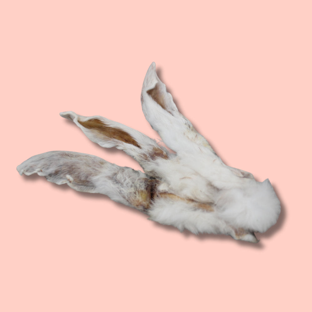 Rabbit Ear with fur