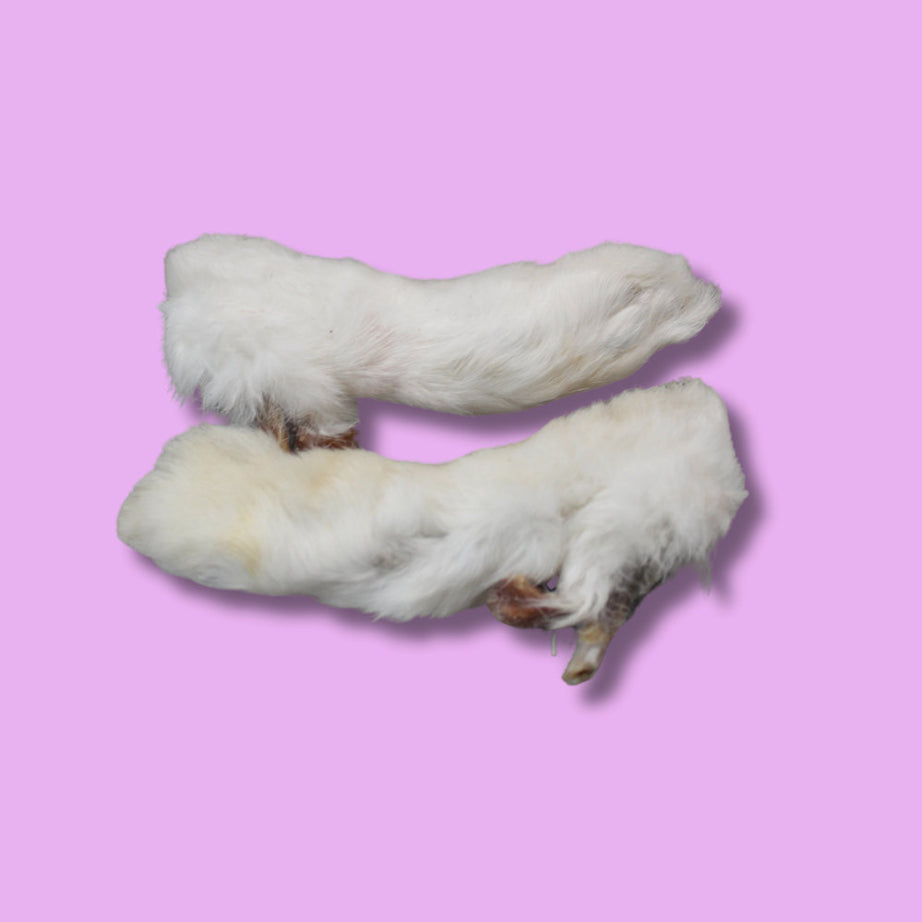 Rabbit Feet with Fur