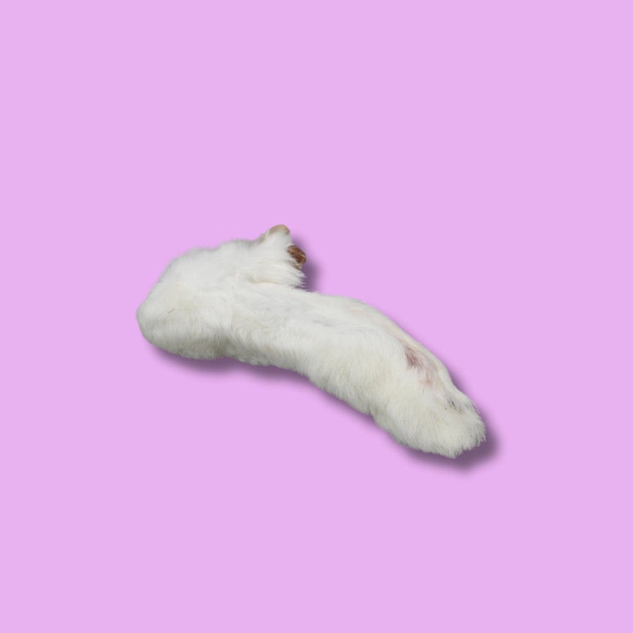 Rabbit Feet with Fur