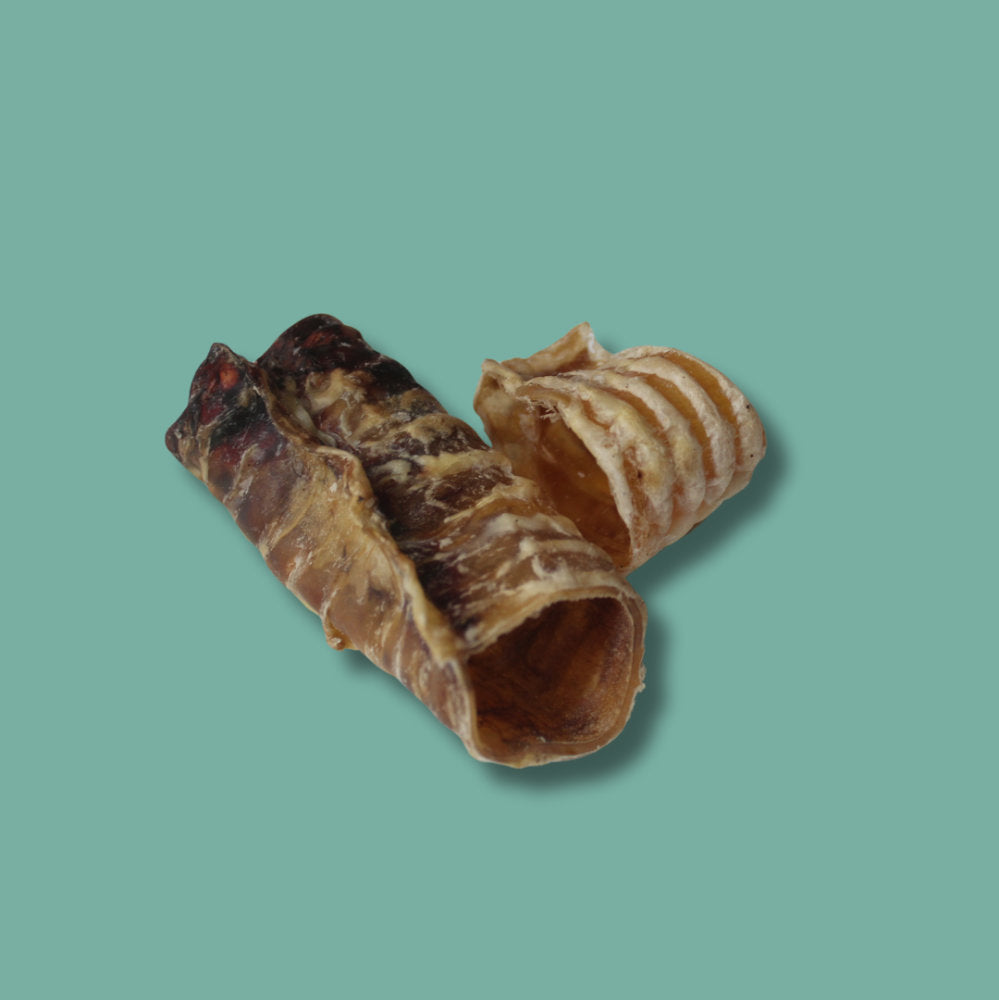 Beef - Trachea (european)