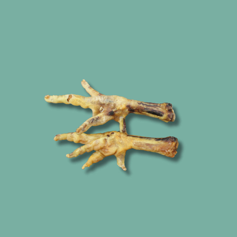 Chicken - Feet natural