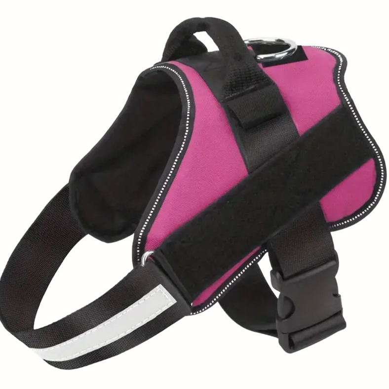 Harness