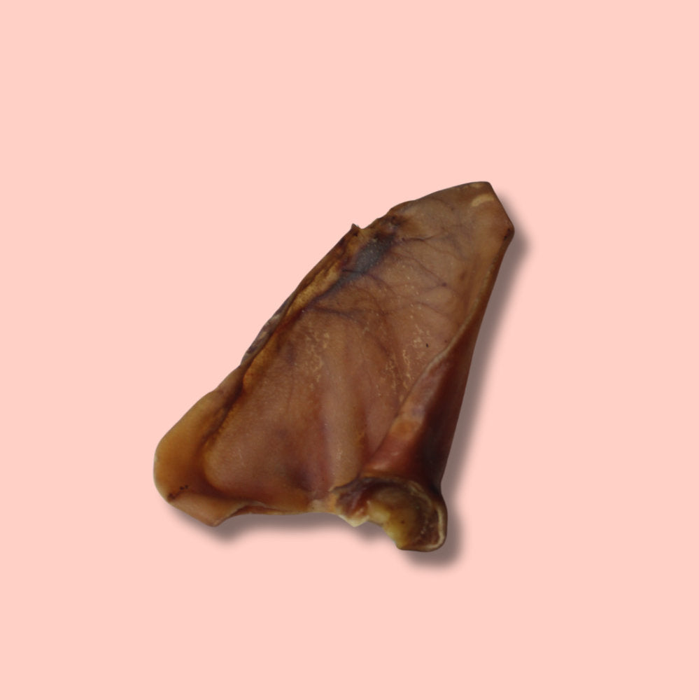 Pork - Ear